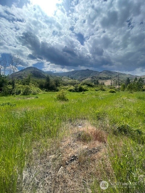 2 Lot 2 Black Canyon Road Pateros WA 98846