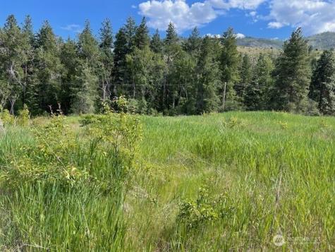 2 Lot 2 Black Canyon Road Pateros WA 98846
