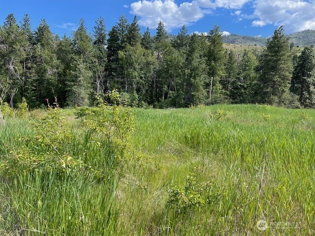 2 Lot 2 Black Canyon Road Pateros WA 98846