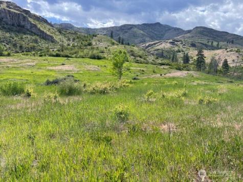 2 Lot 2 Black Canyon Road Pateros WA 98846