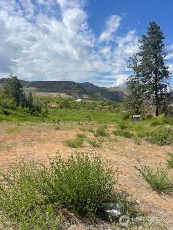 2 Lot 2 Black Canyon Road Pateros WA 98846