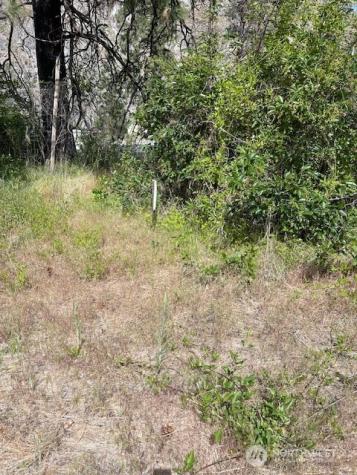 2 Lot 2 Black Canyon Road Pateros WA 98846