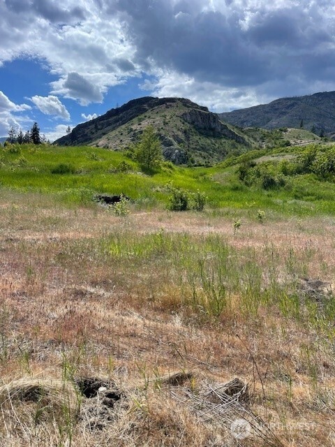 2 Lot 2 Black Canyon Road Pateros WA 98846