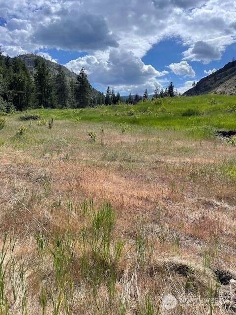 2 Lot 2 Black Canyon Road Pateros WA 98846