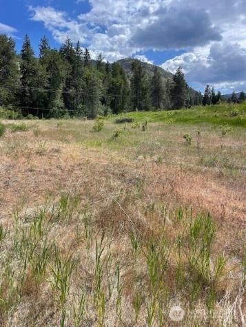 2 Lot 2 Black Canyon Road Pateros WA 98846