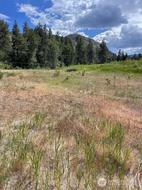 2 Lot 2 Black Canyon Road Pateros WA 98846
