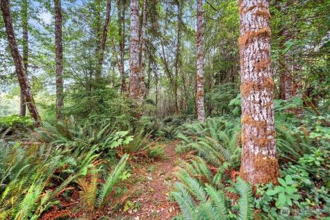 1550 Slide Creek Road Longview WA 98632