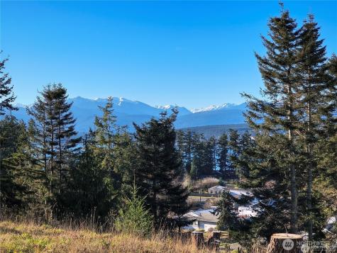 188 S Rhododendron Drive Port Townsend WA 98368