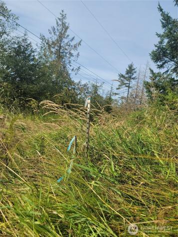 0 Fern Road Port Angeles WA 98362
