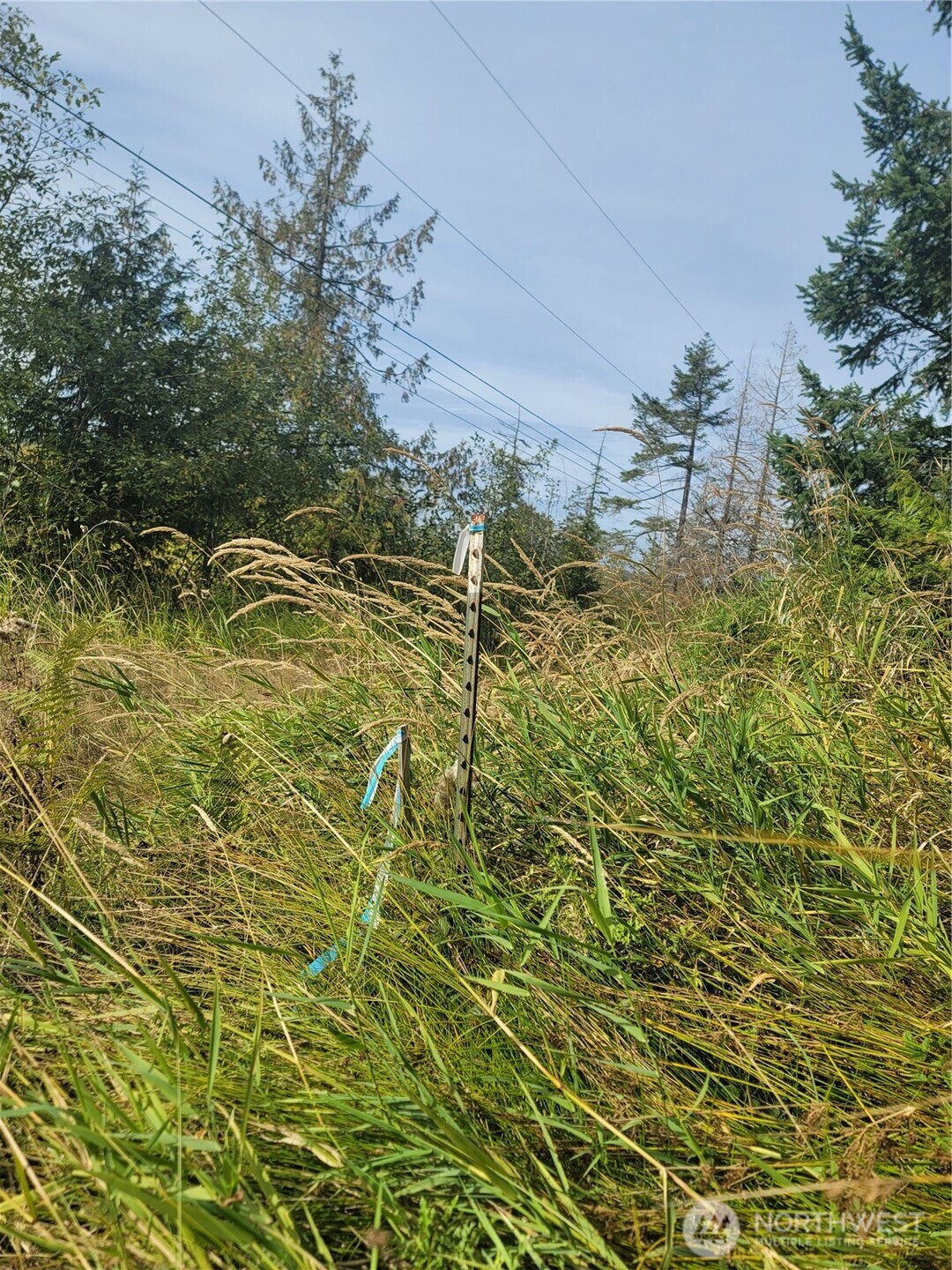 0 Fern Road Port Angeles WA 98362