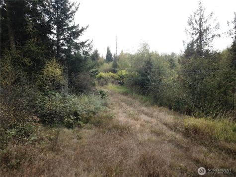 0 Fern Road Port Angeles WA 98362