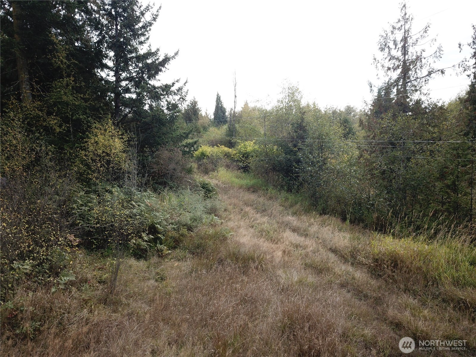 0 Fern Road Port Angeles WA 98362