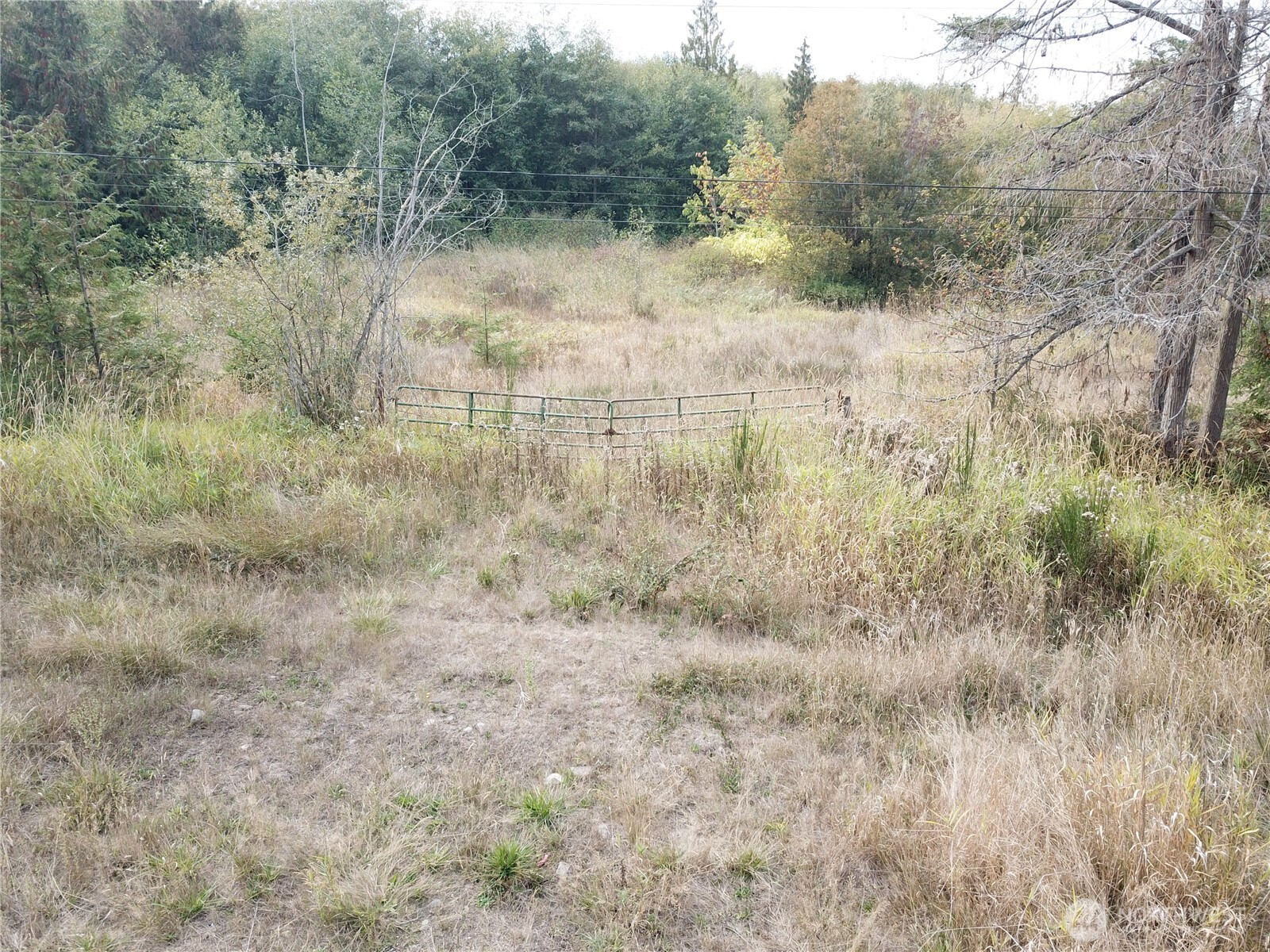 0 Fern Road Port Angeles WA 98362
