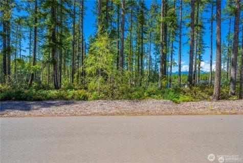 0 W Clear Lake Drive Shelton WA 98584