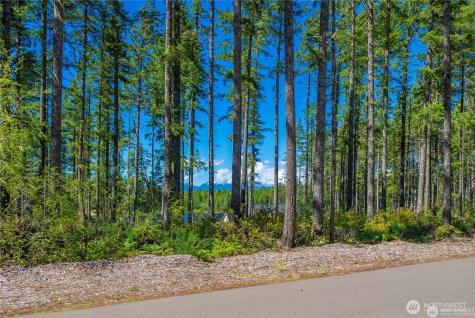 0 W Clear Lake Drive Shelton WA 98584