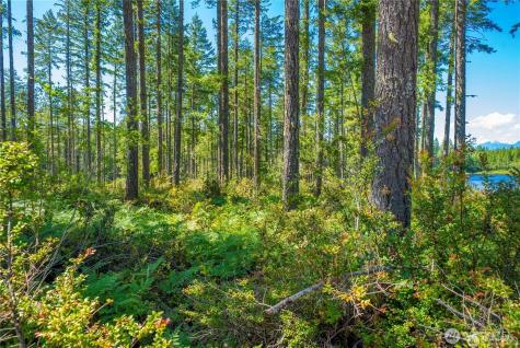 0 W Clear Lake Drive Shelton WA 98584