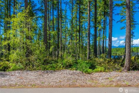 0 W Clear Lake Drive Shelton WA 98584