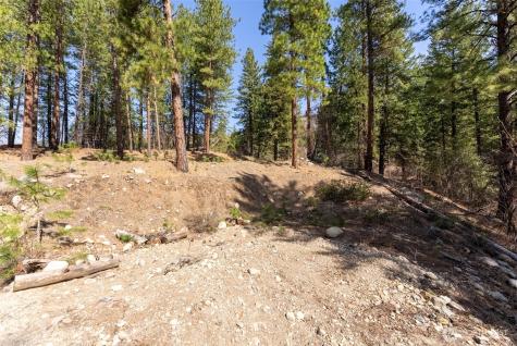 94 Homestead Road Winthrop WA 98862