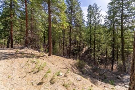 94 Homestead Road Winthrop WA 98862