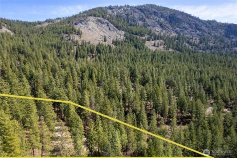 94 Homestead Road Winthrop WA 98862
