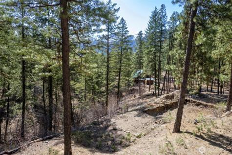 94 Homestead Road Winthrop WA 98862
