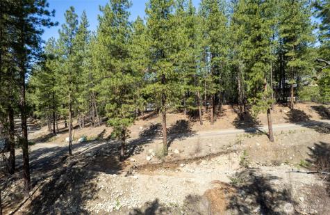 94 Homestead Road Winthrop WA 98862