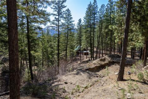 94 Homestead Road Winthrop WA 98862