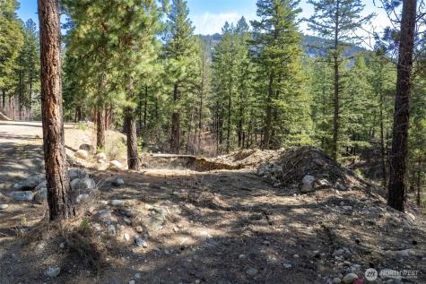 94 Homestead Road Winthrop WA 98862