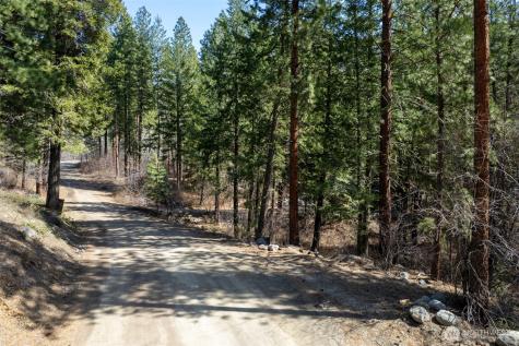 94 Homestead Road Winthrop WA 98862