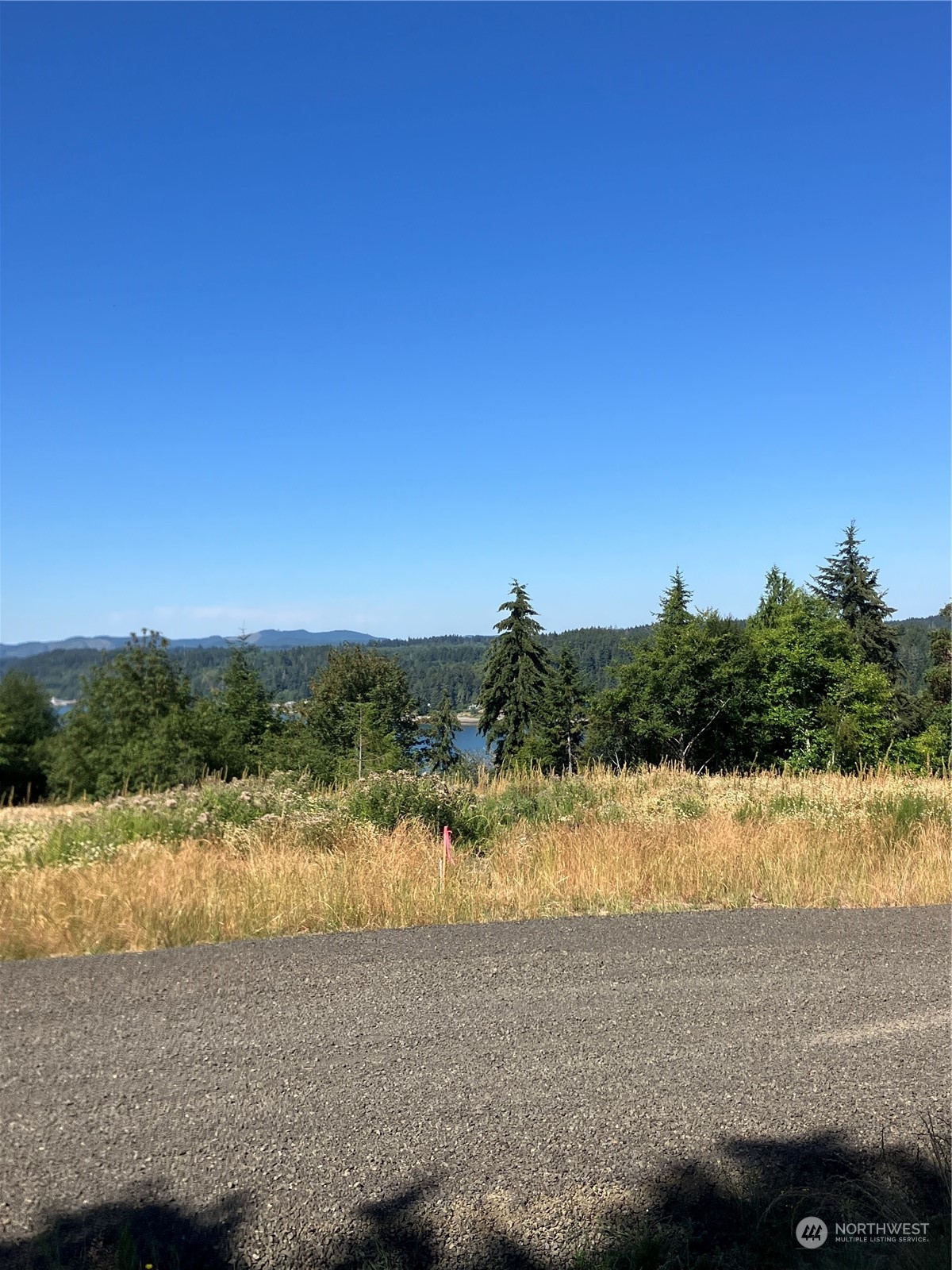 3 E Lone Fir Drive Drive E Shelton WA 98584