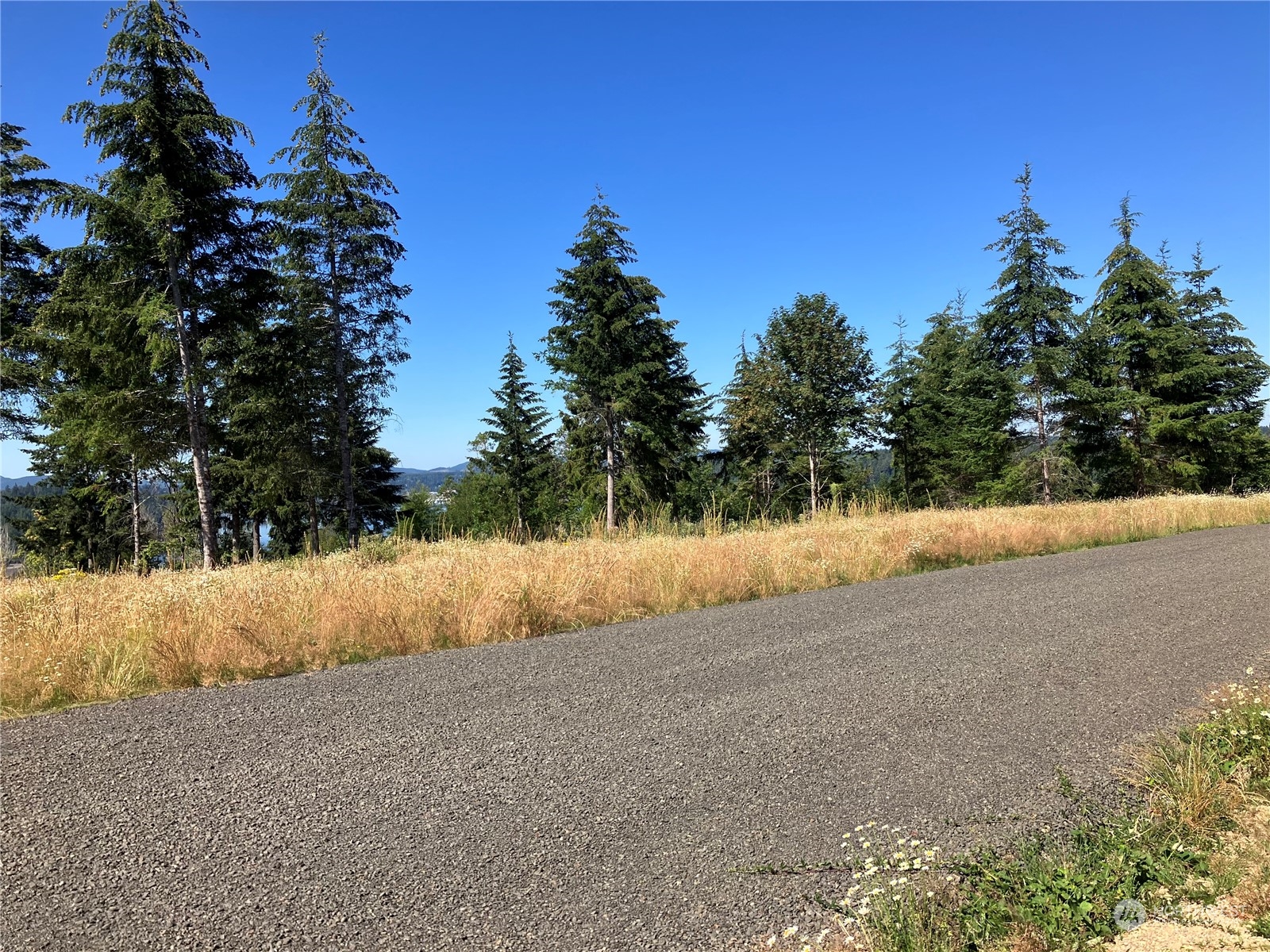 3 E Lone Fir Drive Drive E Shelton WA 98584