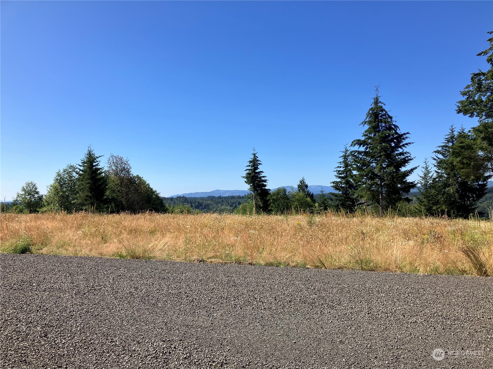 3 E Lone Fir Drive Drive E Shelton WA 98584