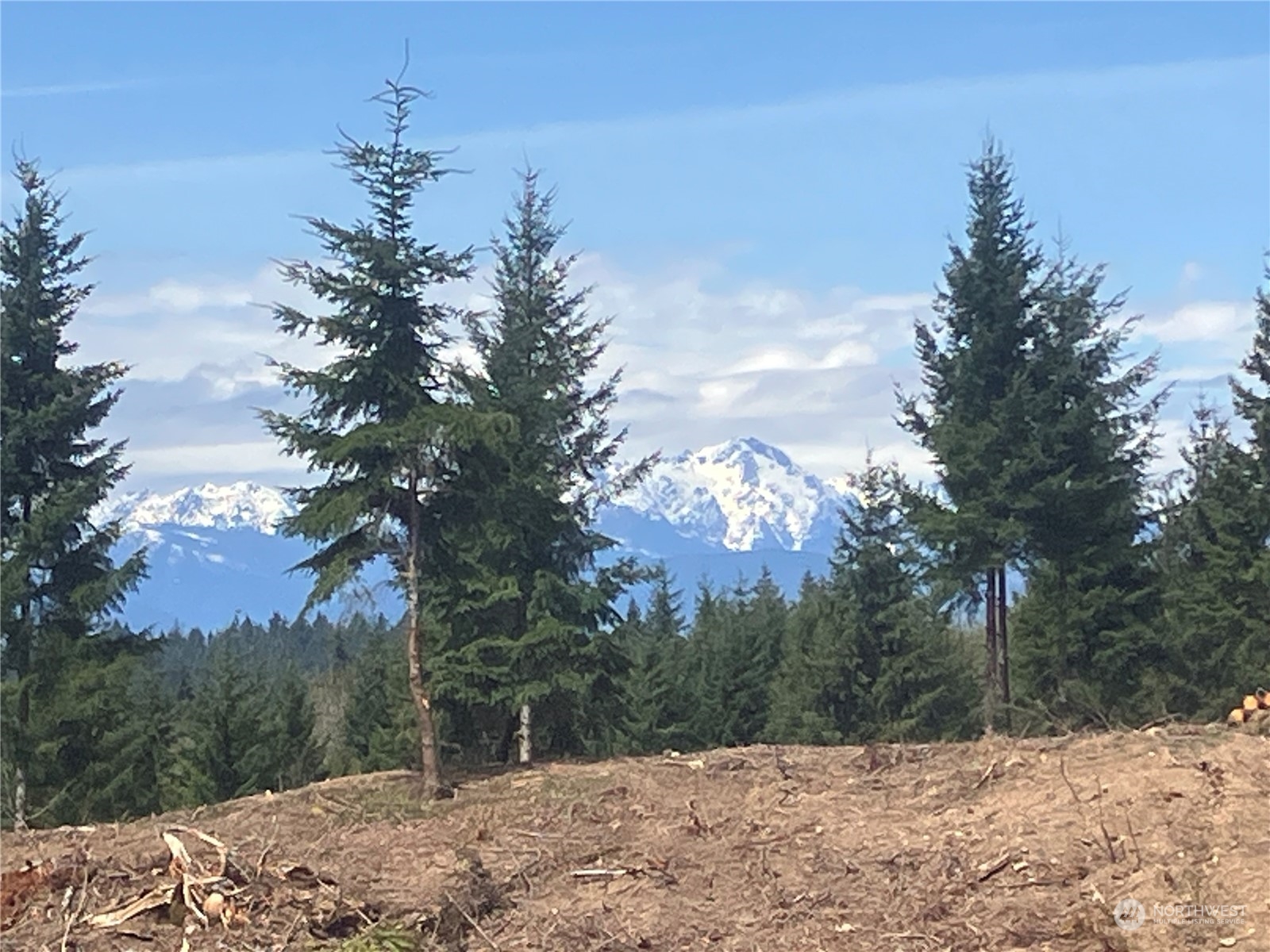 3 E Lone Fir Drive Drive E Shelton WA 98584