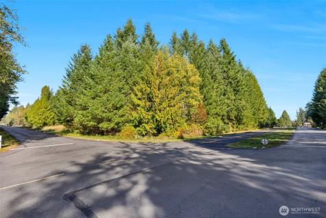 123 123rd Avenue NE Lake Stevens WA 98258