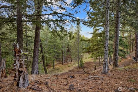 14 Farmhouse Way Cle Elum WA 98922