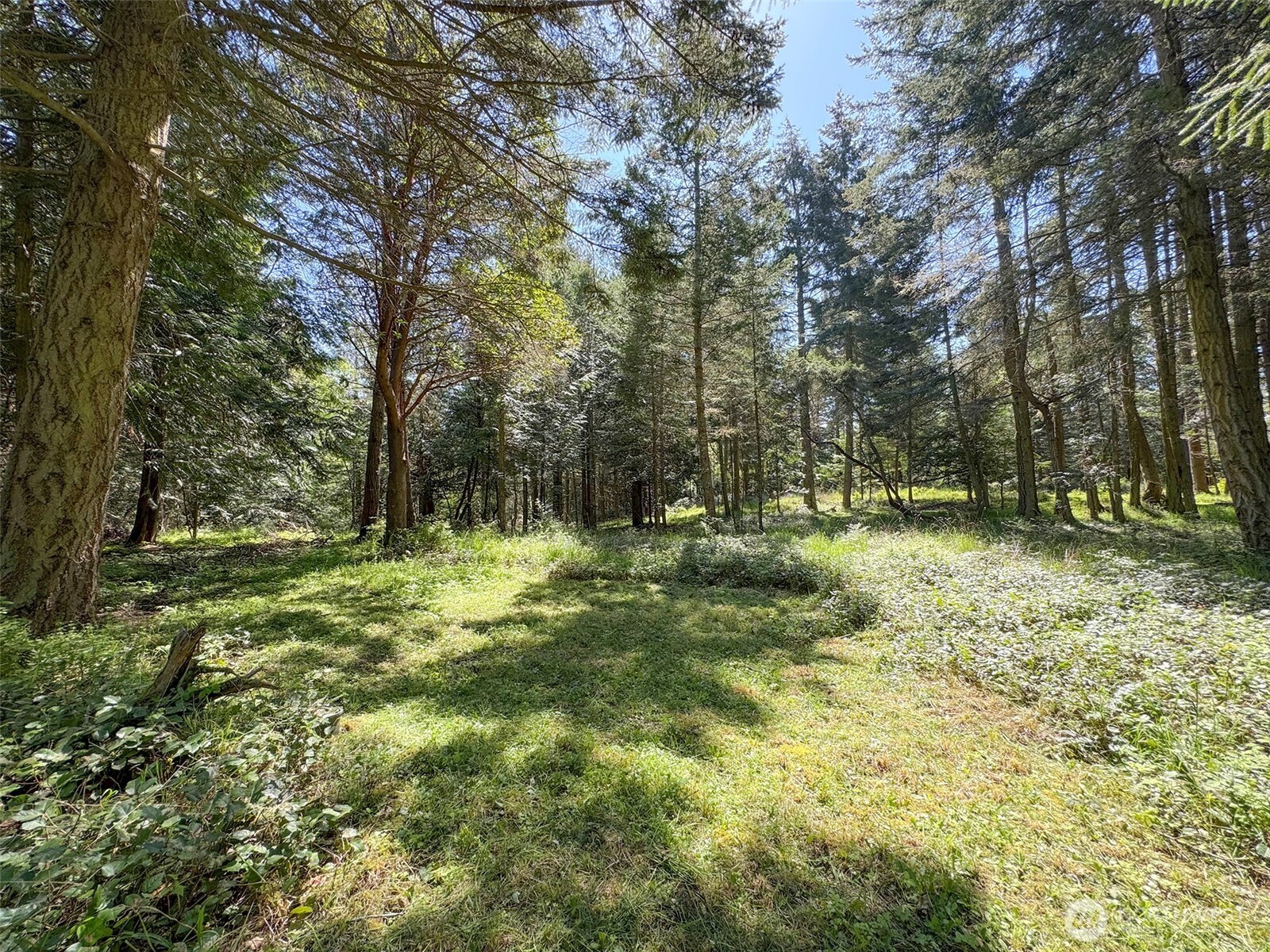392 Holgerson Road Sequim WA 98382