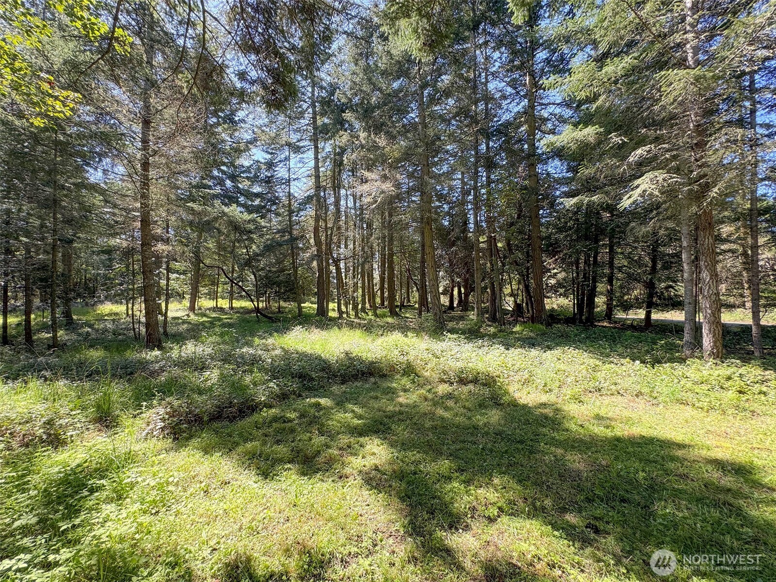 392 Holgerson Road Sequim WA 98382