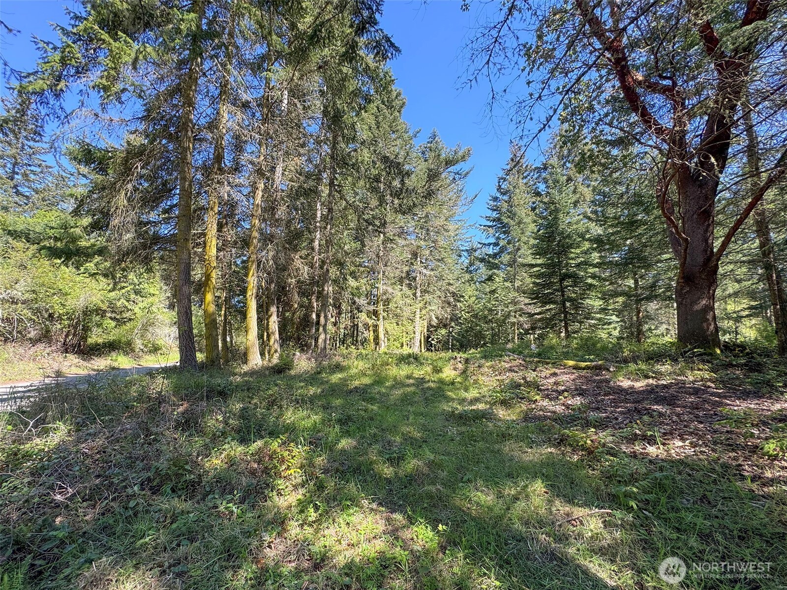 392 Holgerson Road Sequim WA 98382