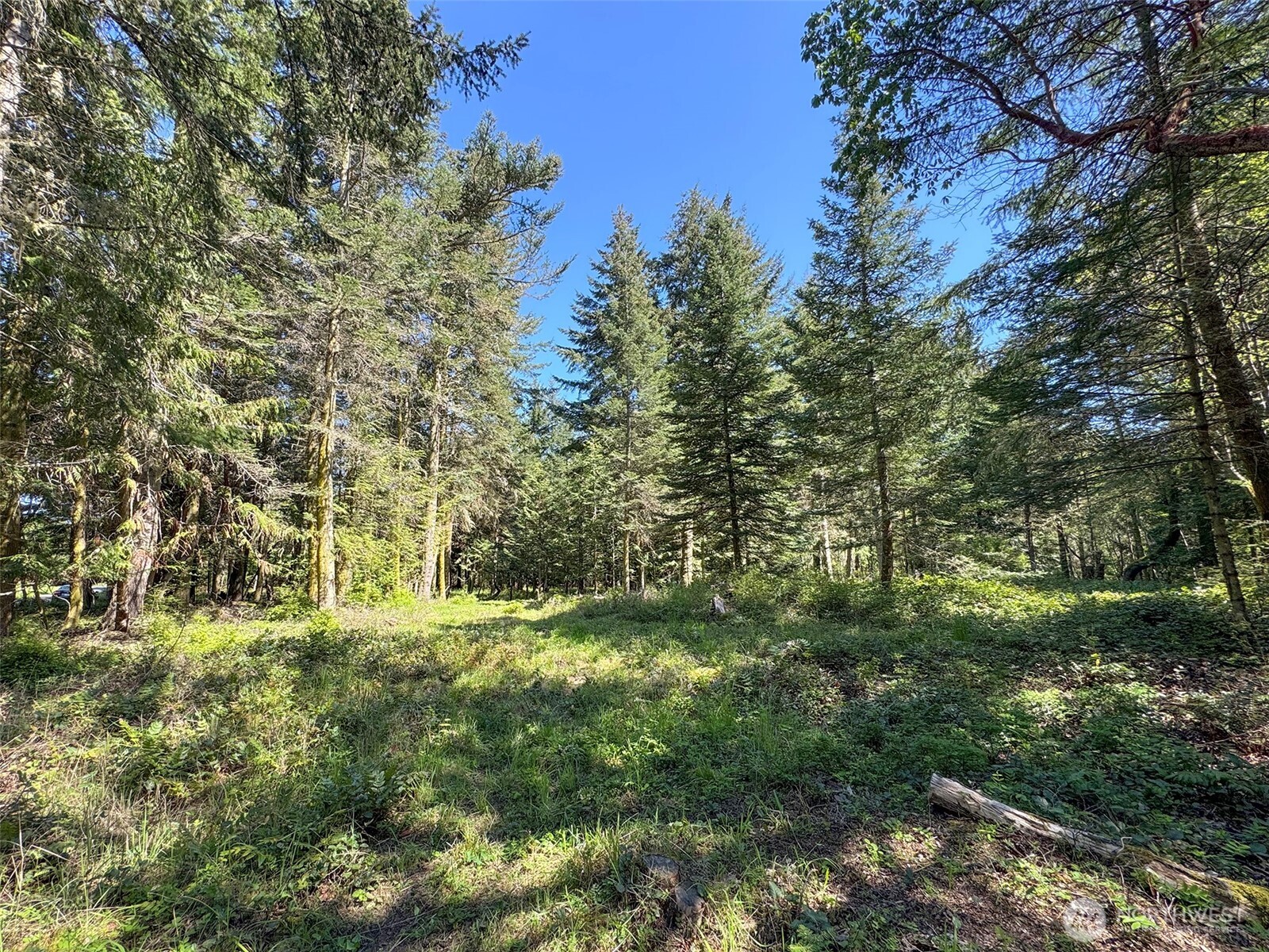 392 Holgerson Road Sequim WA 98382