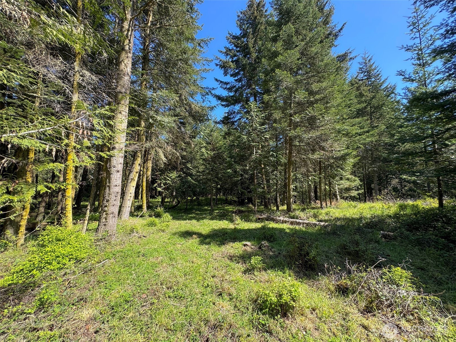 392 Holgerson Road Sequim WA 98382