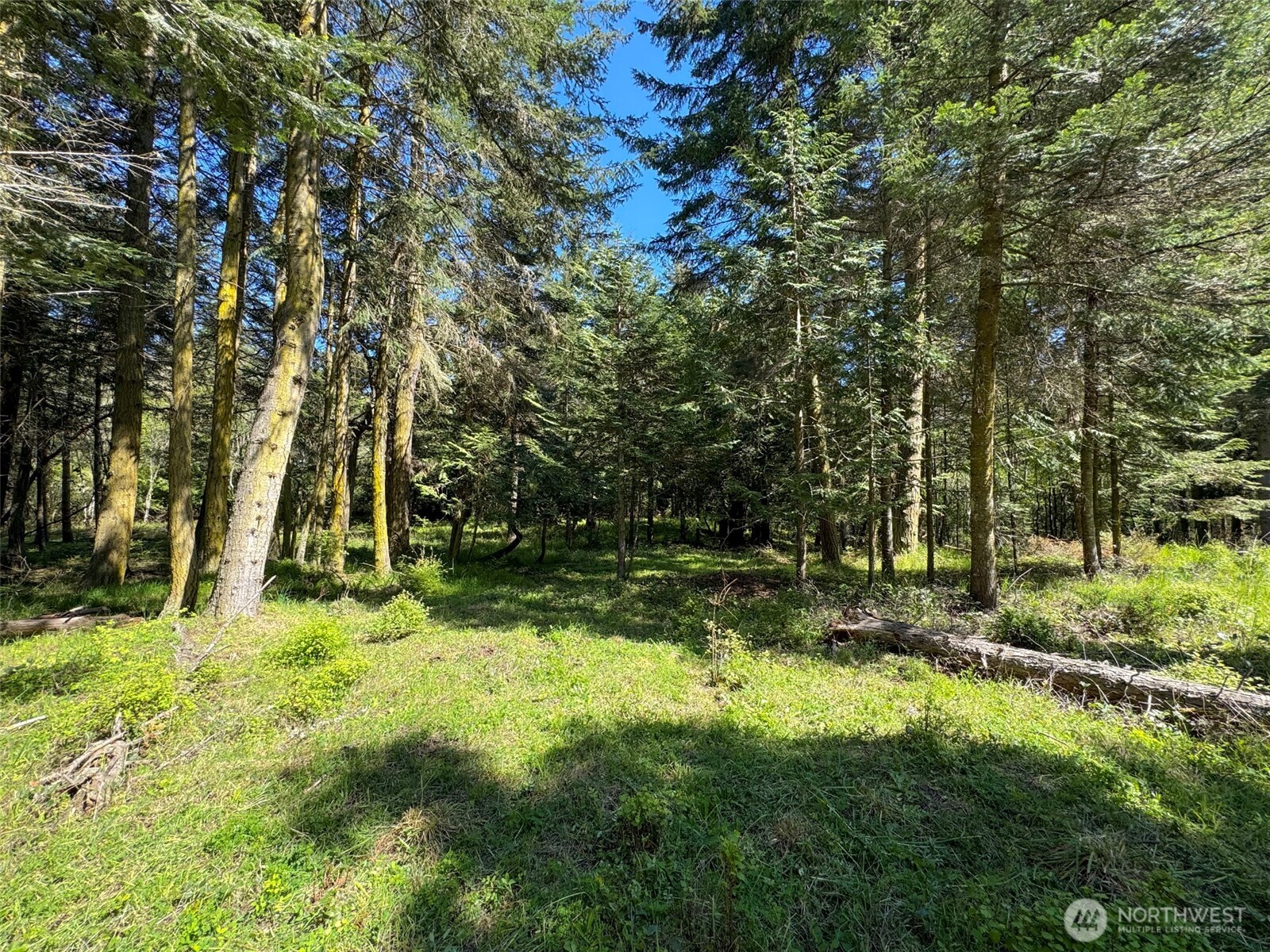 392 Holgerson Road Sequim WA 98382