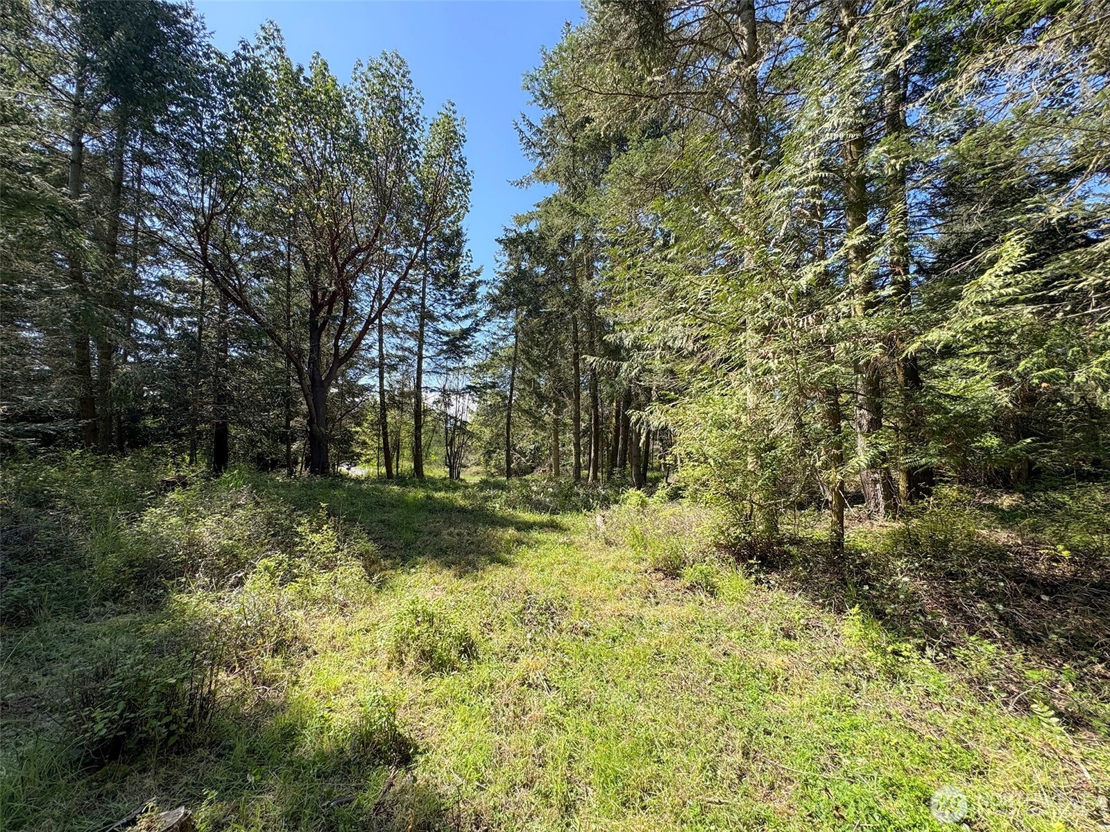 392 Holgerson Road Sequim WA 98382