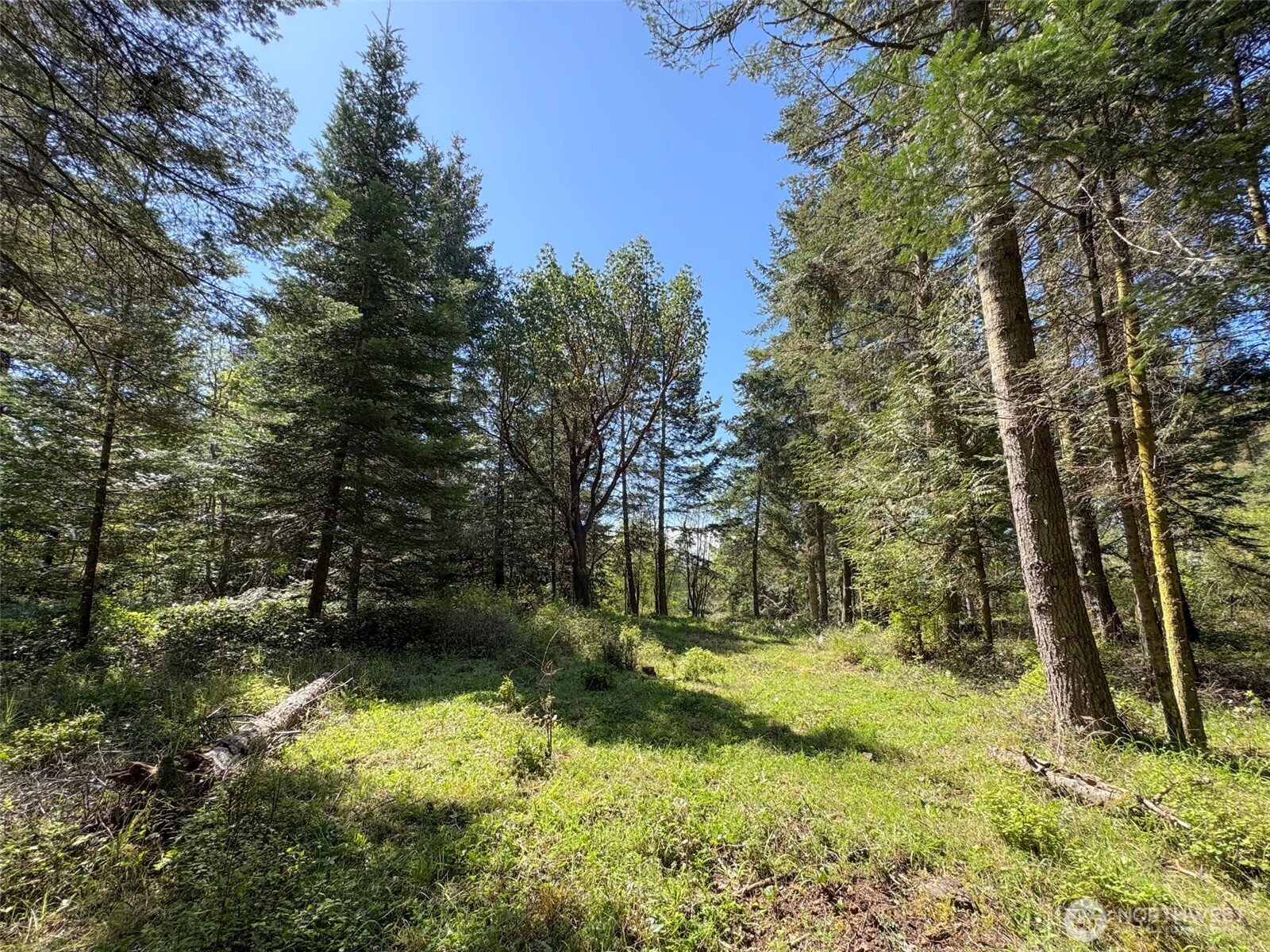 392 Holgerson Road Sequim WA 98382