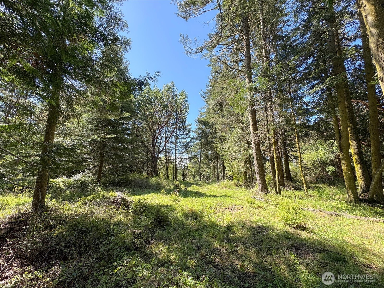 392 Holgerson Road Sequim WA 98382