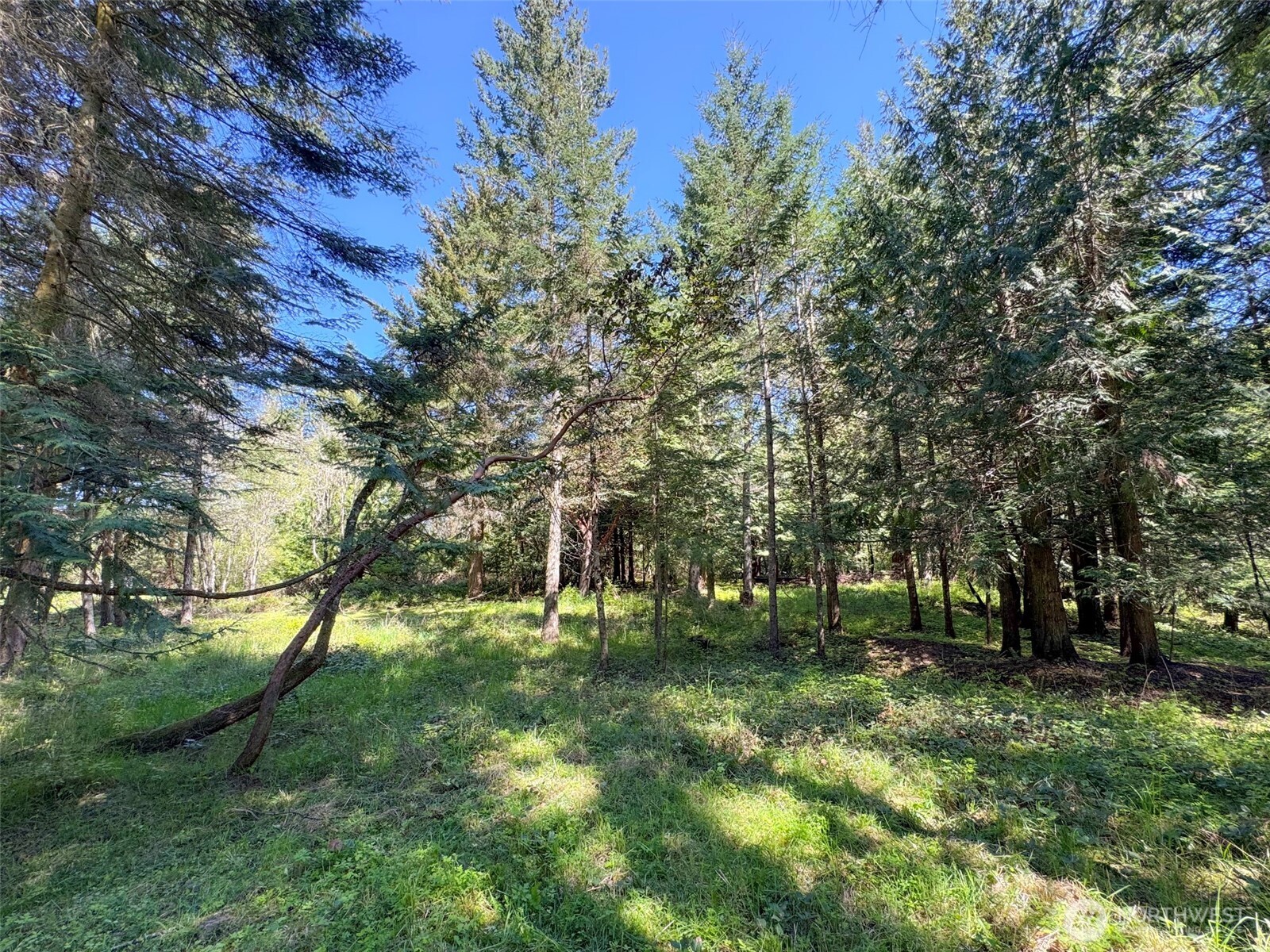 392 Holgerson Road Sequim WA 98382