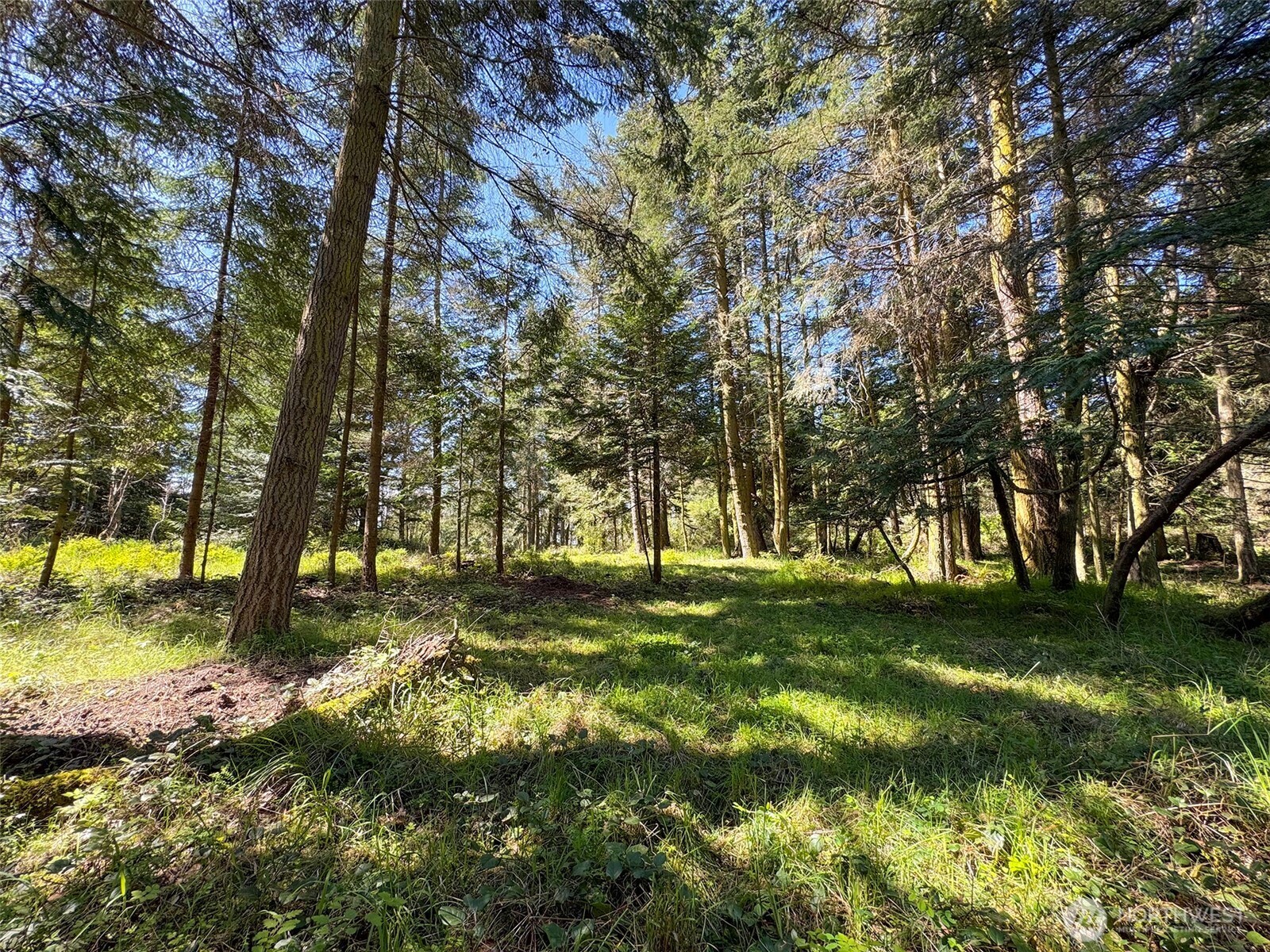 392 Holgerson Road Sequim WA 98382