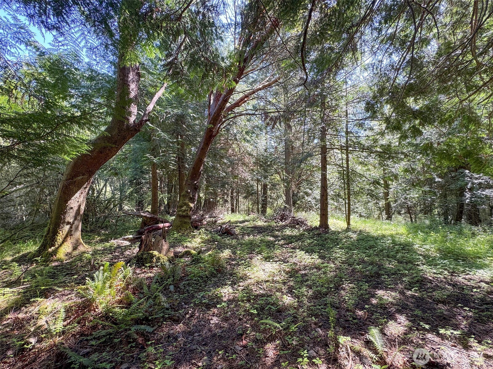 392 Holgerson Road Sequim WA 98382