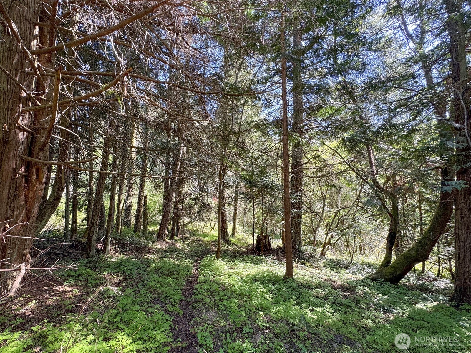 392 Holgerson Road Sequim WA 98382