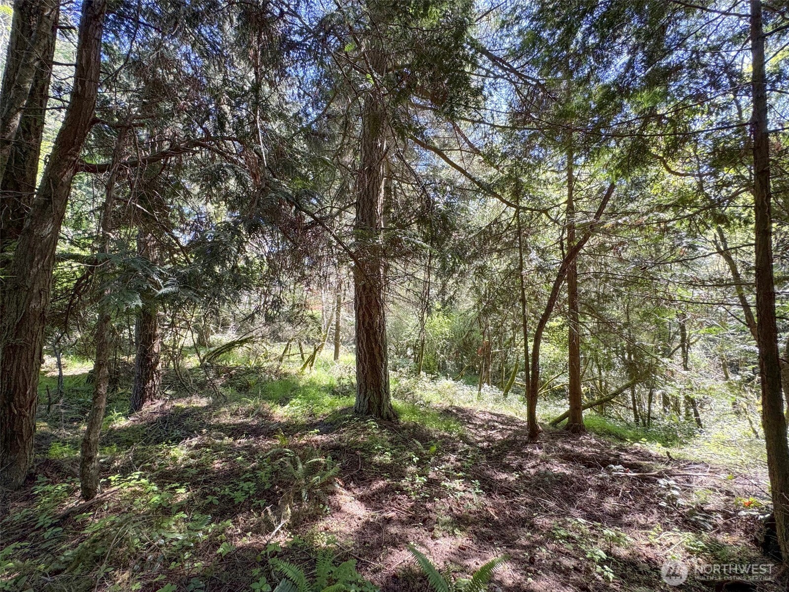 392 Holgerson Road Sequim WA 98382