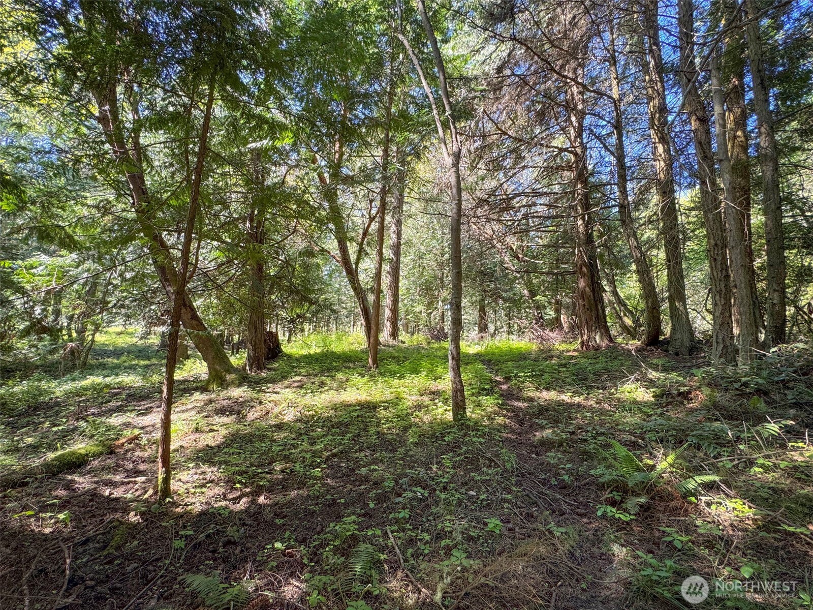 392 Holgerson Road Sequim WA 98382